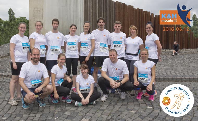 Process Solutions Marathon Team, 12 June 2016